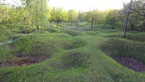 Old-ww1-shell-holes-covered-with-grass-and-full-of-water-by-drone.-Verdun-forest